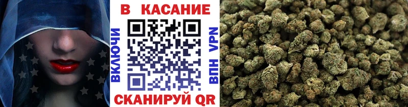 МЕФ Щёкино