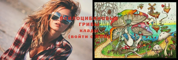 твердый Балабаново