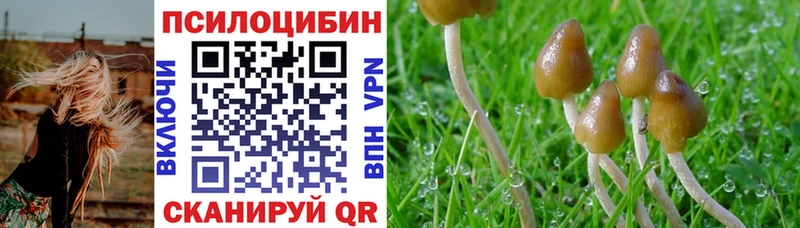 Галлюциногенные грибы ЛСД  Щёкино 